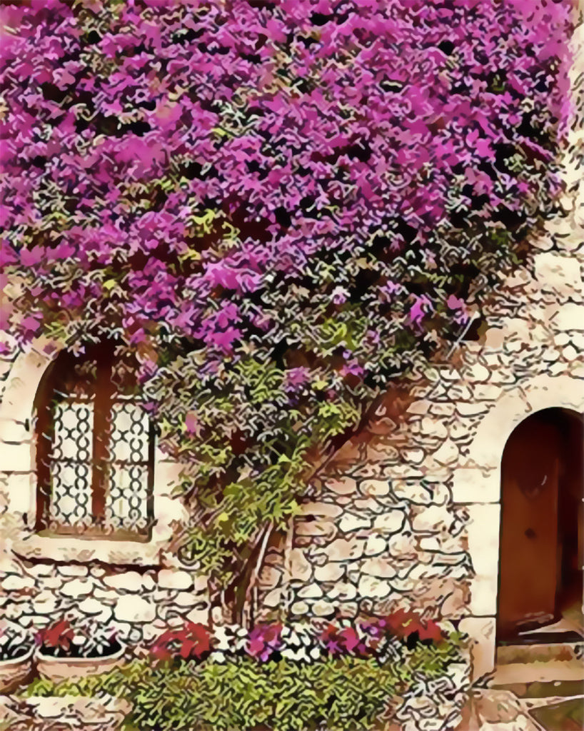 Maison Florale Peinture par Numéros
