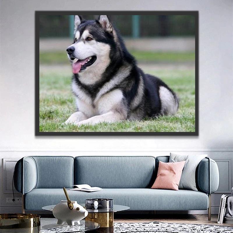 Malamute de l'Alaska Peinture par Numéros