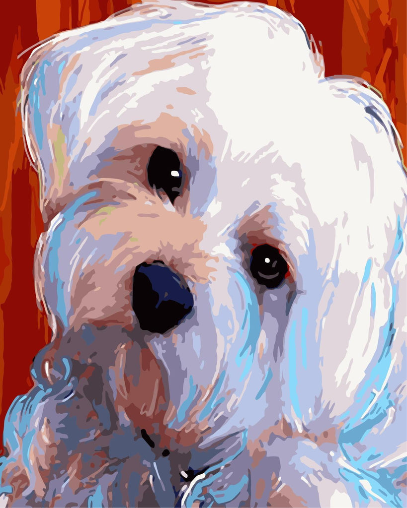 Maltais Blanc Adorable Peinture par Numéros