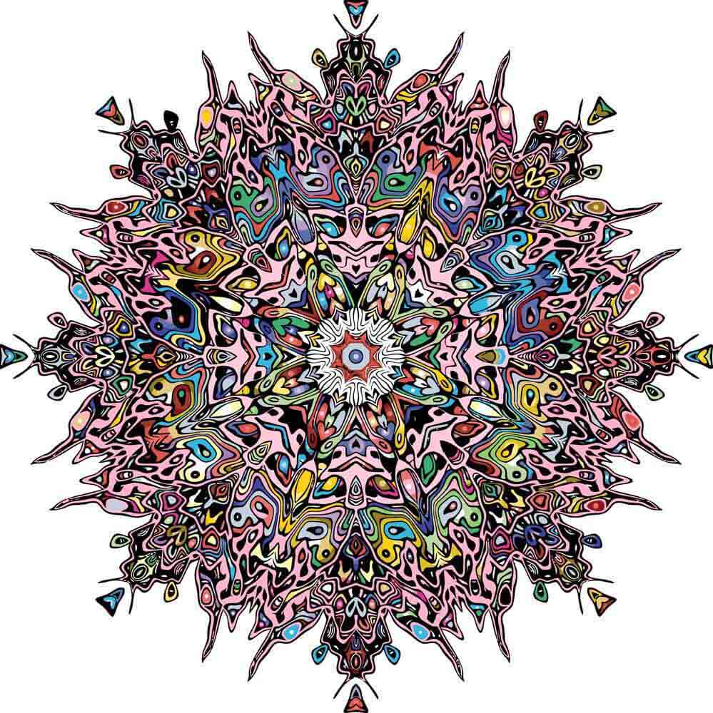 Mandala Magnifique Peinture par Numéros