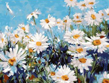 Marguerites Rustiques Peinture par Numéros