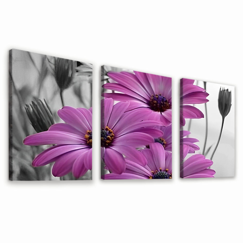 Marguerites Violettes 3 Partie Peinture par Numéros