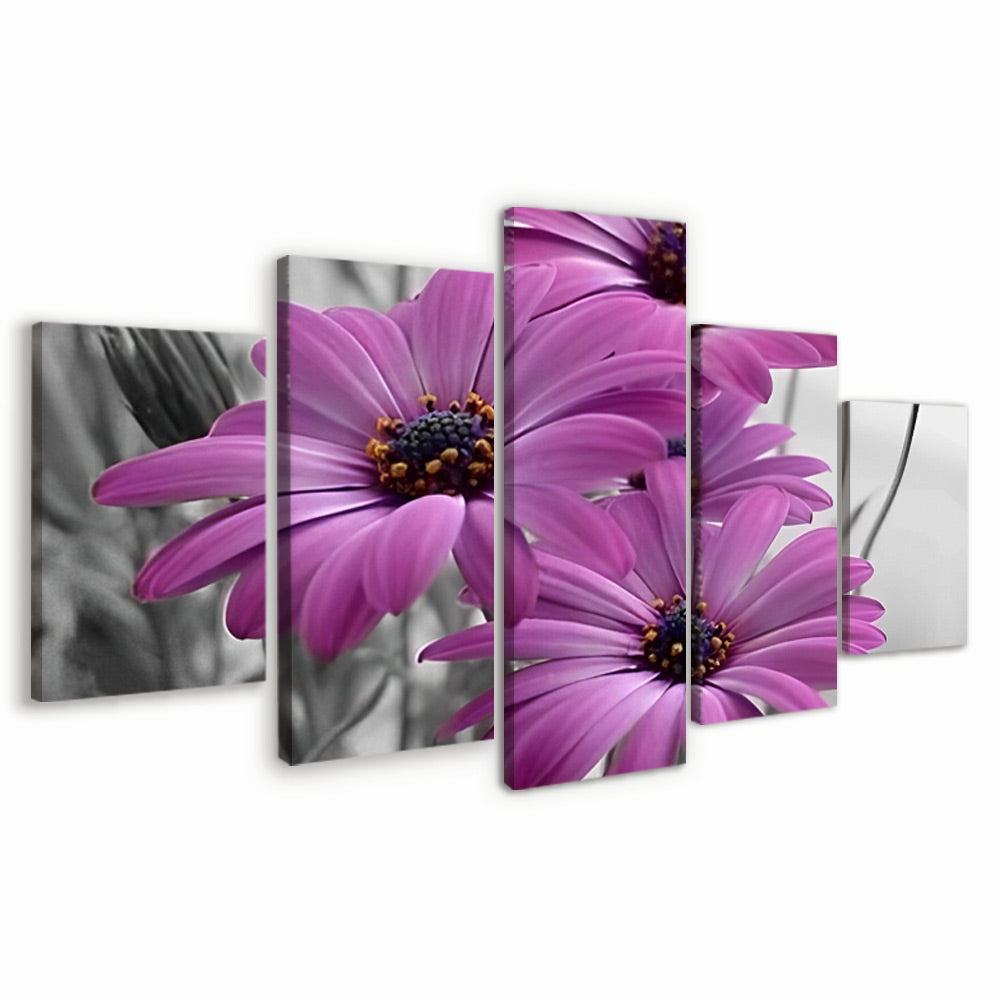 Marguerites Violettes 5 Partie Peinture par Numéros