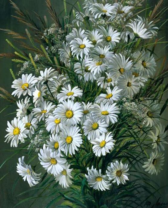 Marguerites Vivaces Rustiques Peinture par Numéros