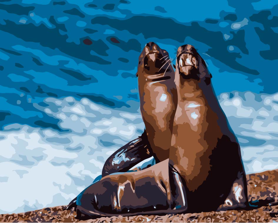 Maritime Otarie Peinture par Numéros