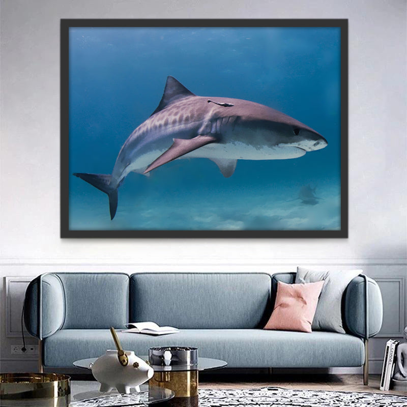 Maritime Requin dans la Mer Peinture par Numéros