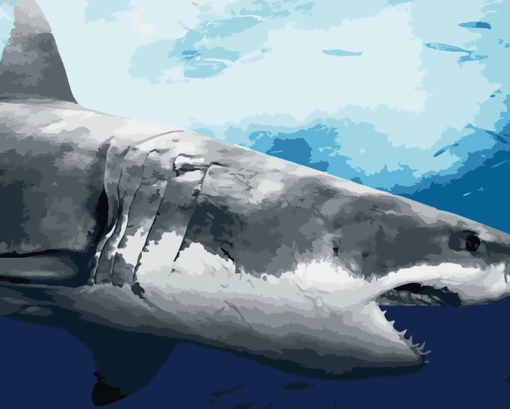 Maritime Requin Peinture par Numéros