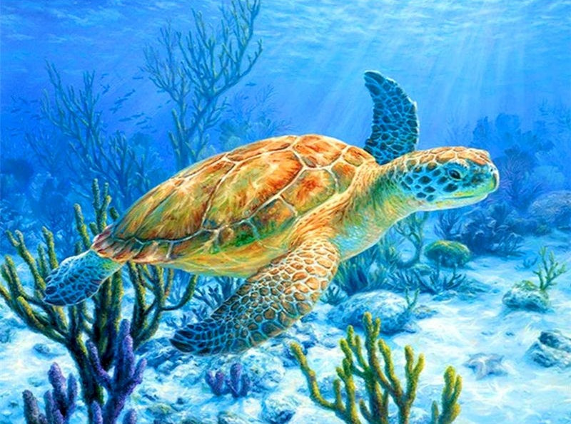 Maritime Tortue Nageant Peinture par Numéros