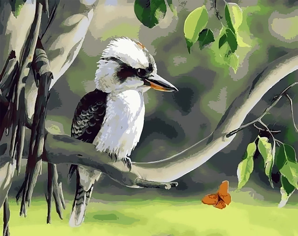 Martin-pêcheur d'Europe Blanc et Noir avec un Petit Papillon Peinture par Numéros