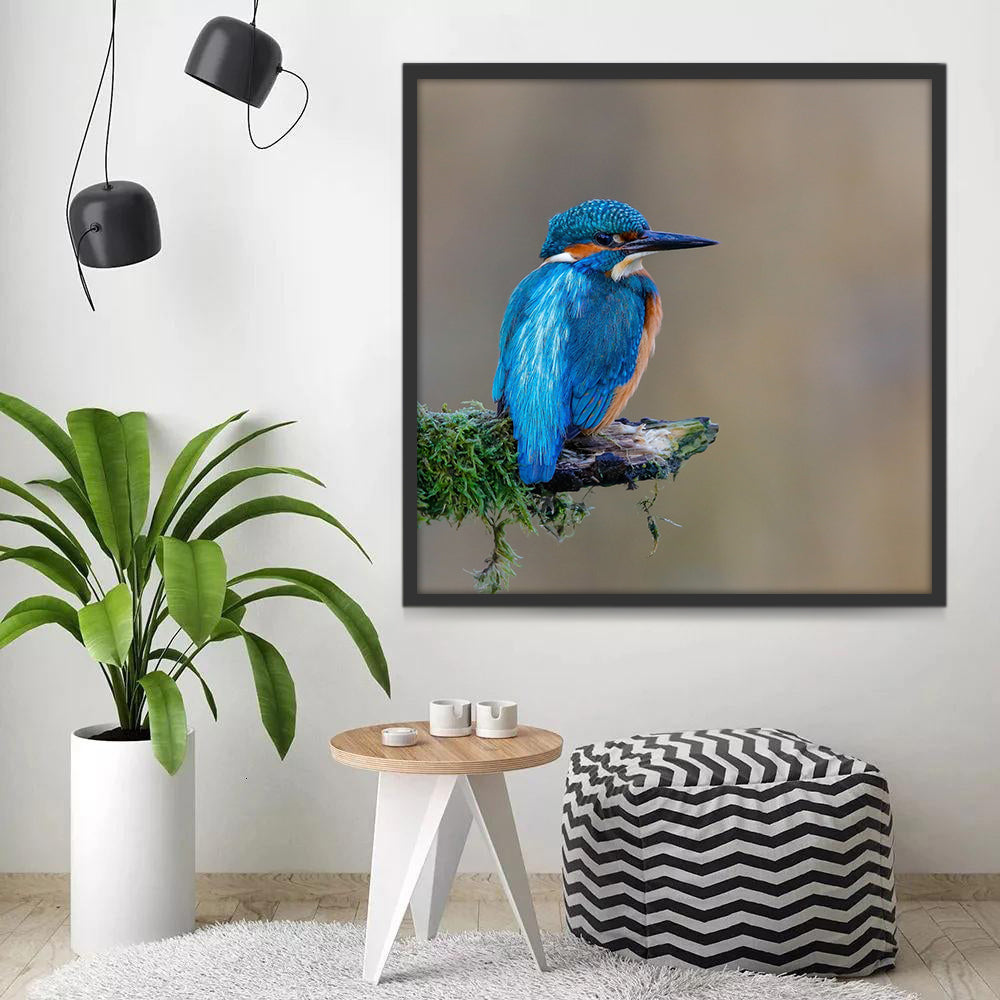 Martin-pêcheur d'Europe Bleu Peinture par Numéros