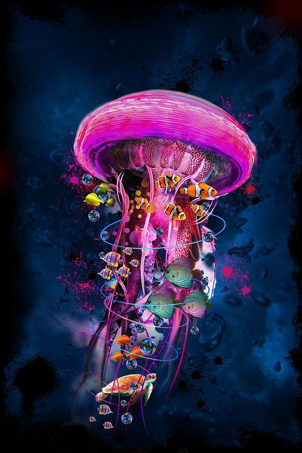 Méduse Rose Peinture par Numéros