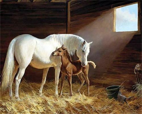 Mère Cheval et Bébé dans l'Ecurie Peinture par Numéros