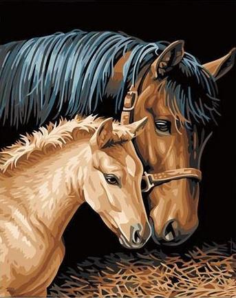 Mère Cheval et Son Bébé Peinture par Numéros