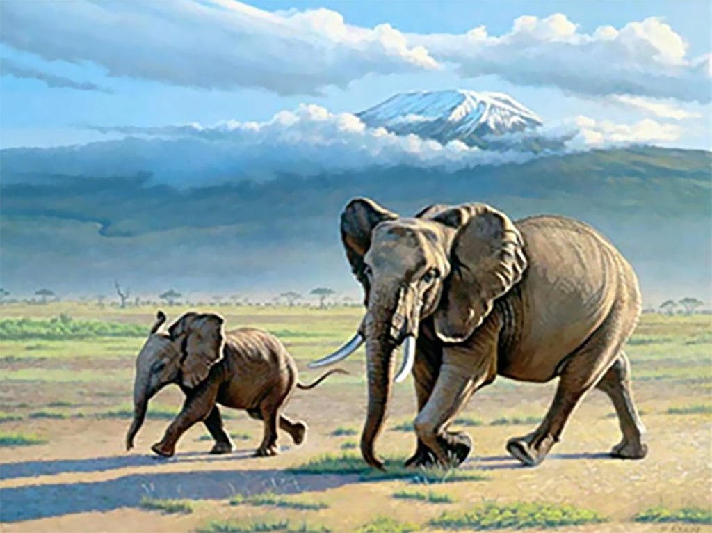 Mère Éléphant et Son Enfant Peinture par Numéros