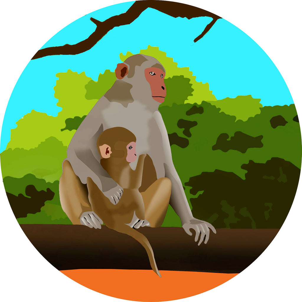 Mère Singe et Bébé Singe Peinture par Numéros