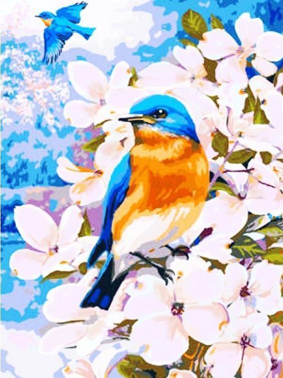 Mésange Bleue et Rousse Peinture par Numéros
