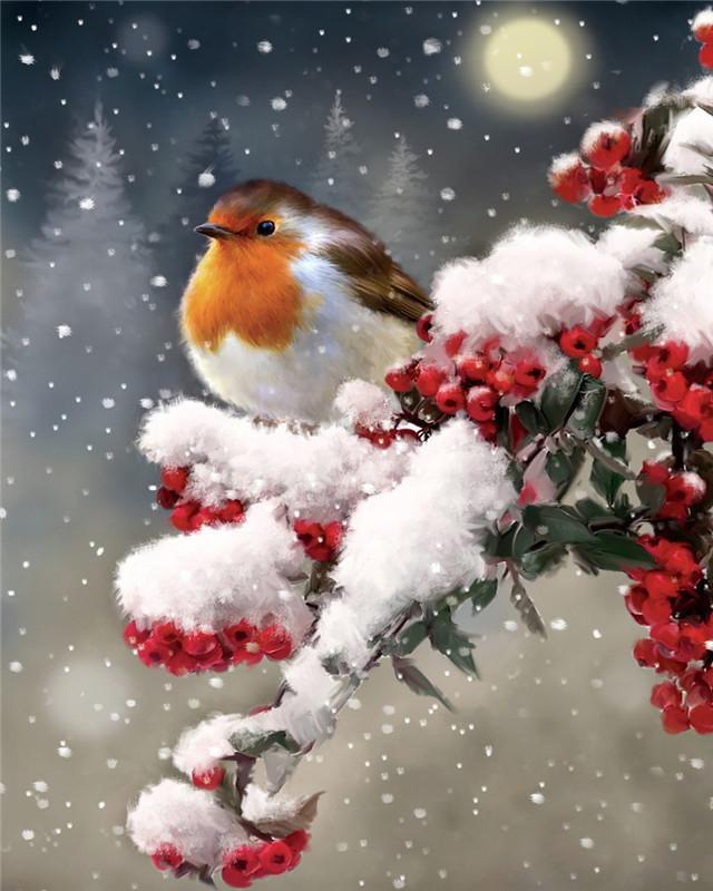 Mésange Noël Peinture par Numéros
