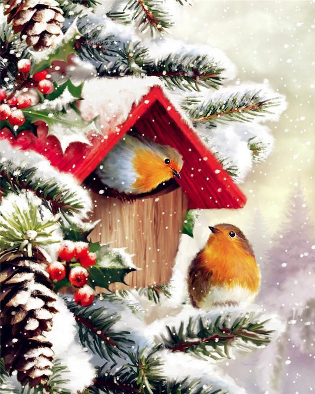 Mésanges Noël Peinture par Numéros