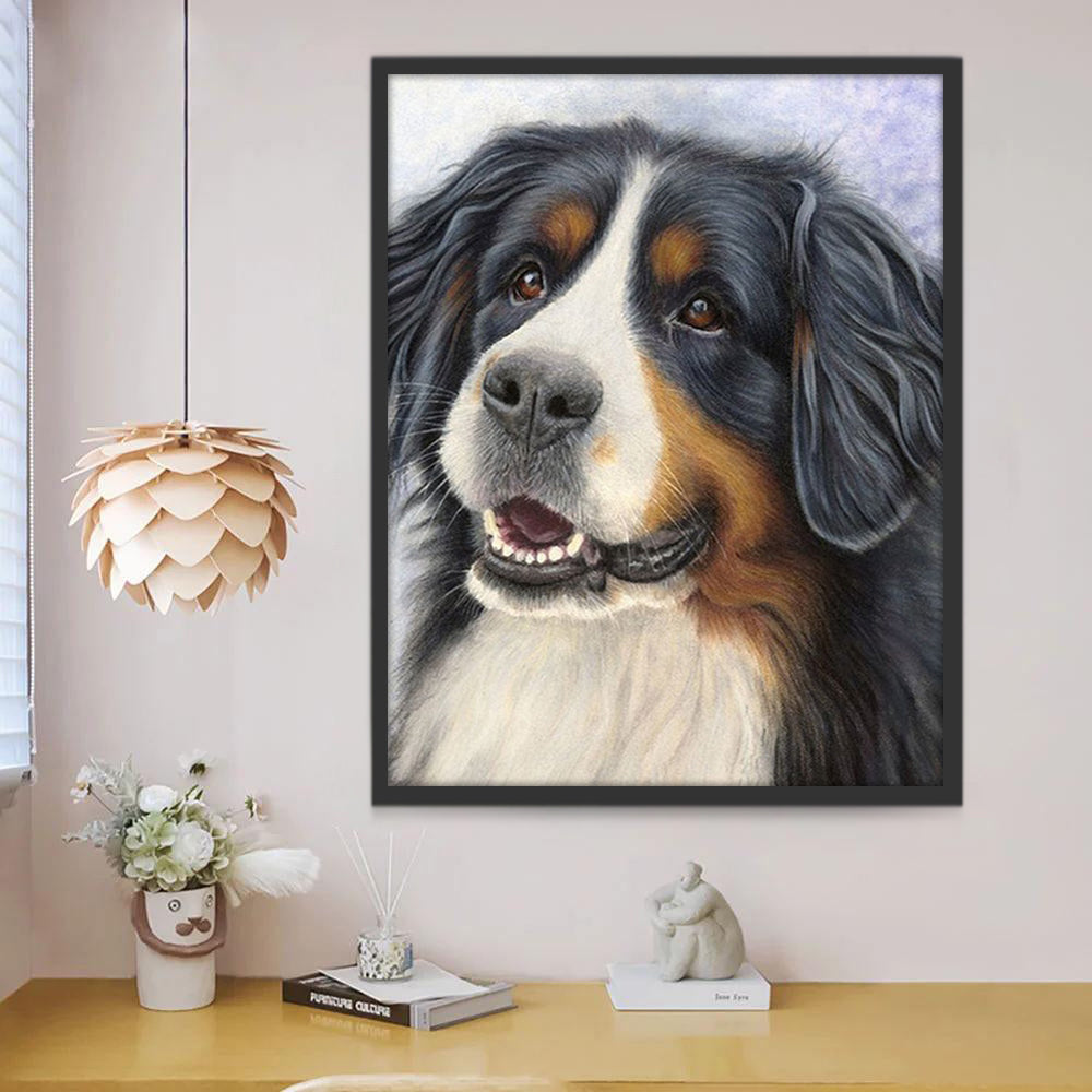 Mignon Bouvier Bernois Peinture par Numéros