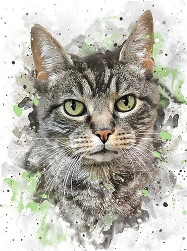 Mignon Chat Gris Peinture par Numéros