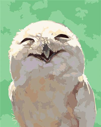 Mignon Hibou Blanc Souriant Peinture par Numéros