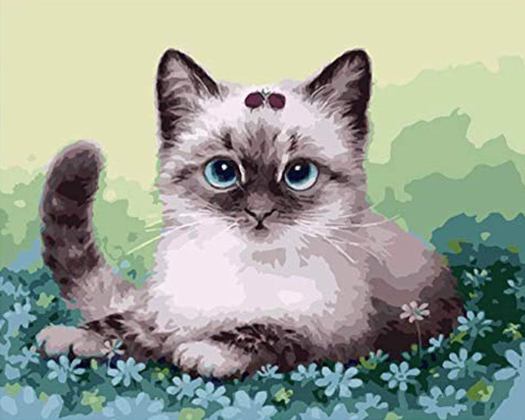 Mignon Petit Siamois Chat Peinture par Numéros