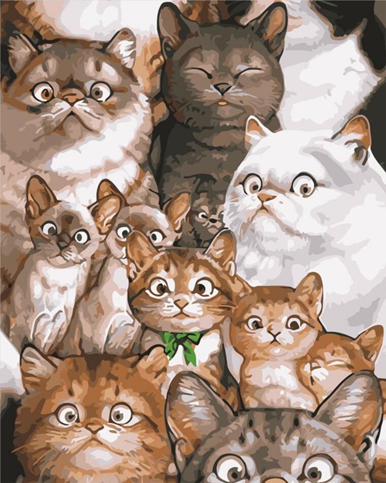 Mignons Chats Drôles Peinture par Numéros