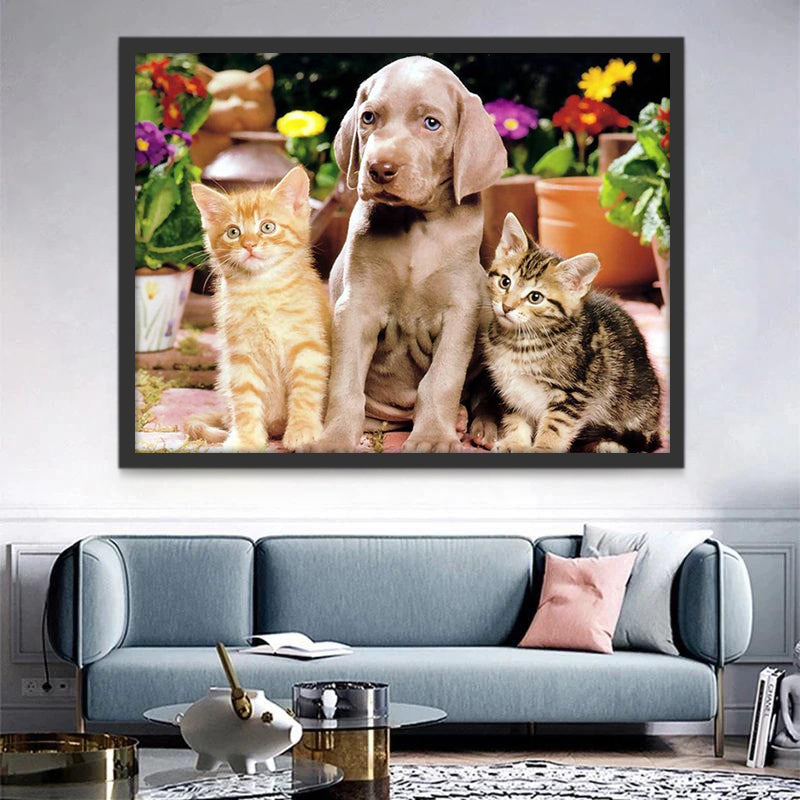 Mignons Chiot et Chatons Peinture par Numéros