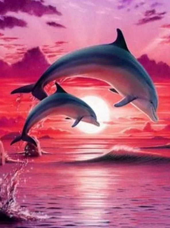 Mignons Dauphins Peinture par Numéros