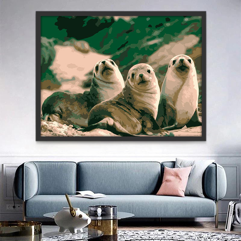 Mignons Phoques Peinture par Numéros