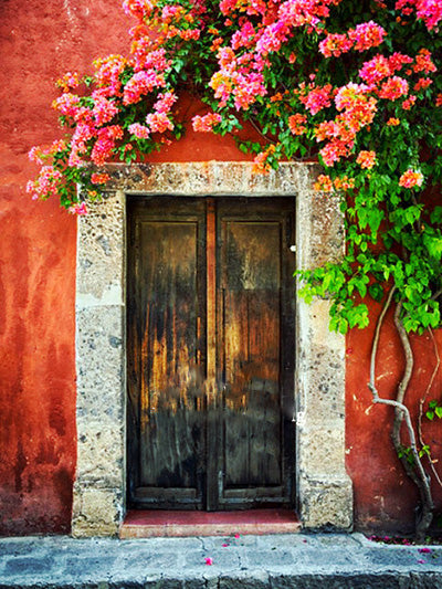 Mur Rouge de Fleurs Peinture par Numéros