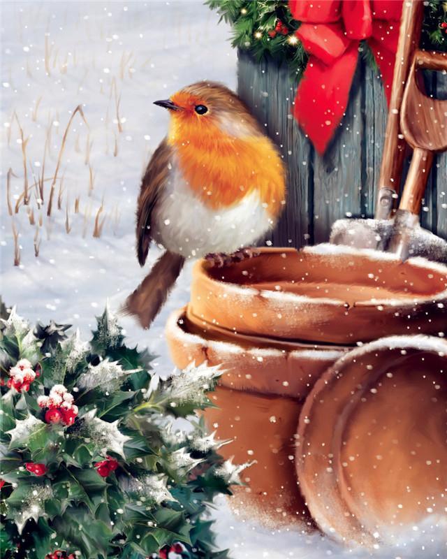 Noël Mésange Rousse Peinture par Numéros