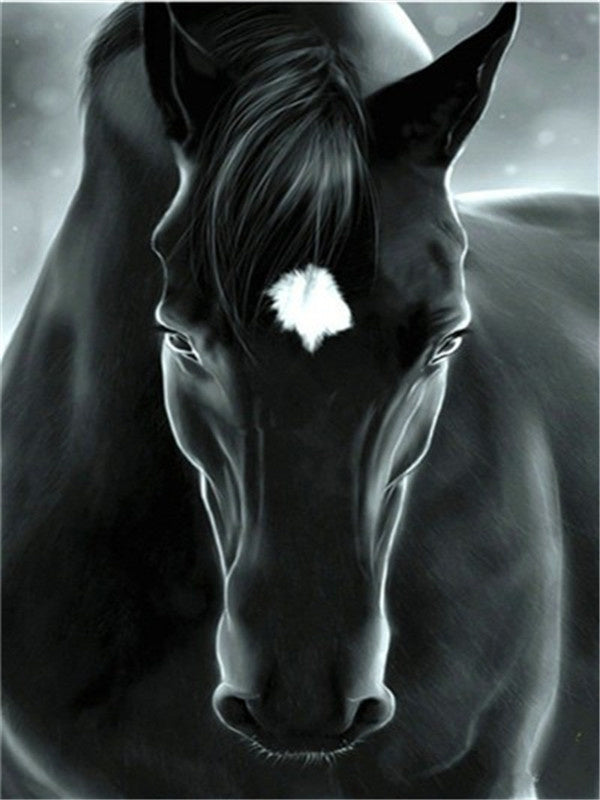 Noir Cheval Paisible Peinture par Numéros