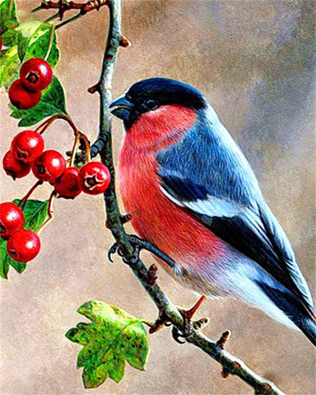 Oiseau et Petits Fruits Rouges Peinture par Numéros