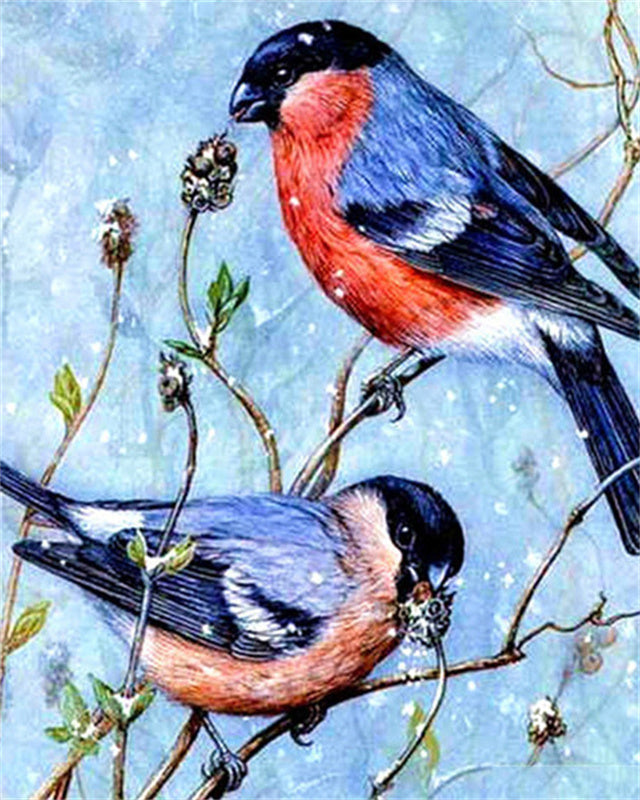 Oiseaux en Hiver Peinture par Numéros