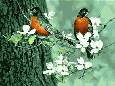 Oiseaux Verts et Roux Peinture par Numéros