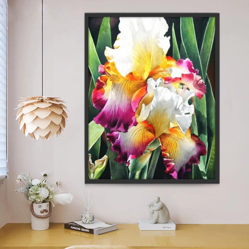 Orchidées Colorées Peinture par Numéros