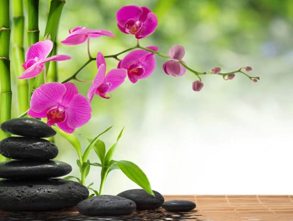 Orchidées Élégantes Peinture par Numéros