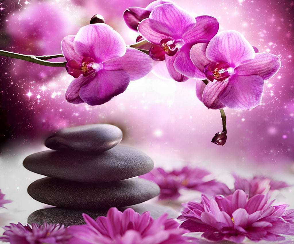 Orchidées Roses et Pierres Peinture par Numéros