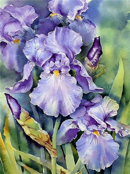 Orchidées Violettes Peinture par Numéros