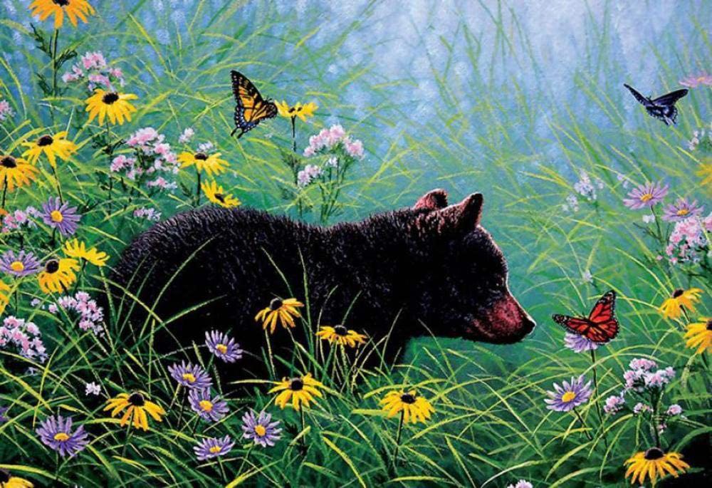 Ours au Milieu des Fleurs avec des Papillons Peinture par Numéros