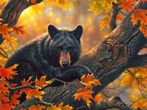 Ours Noir et Feuilles d'Erable Peinture par Numéros