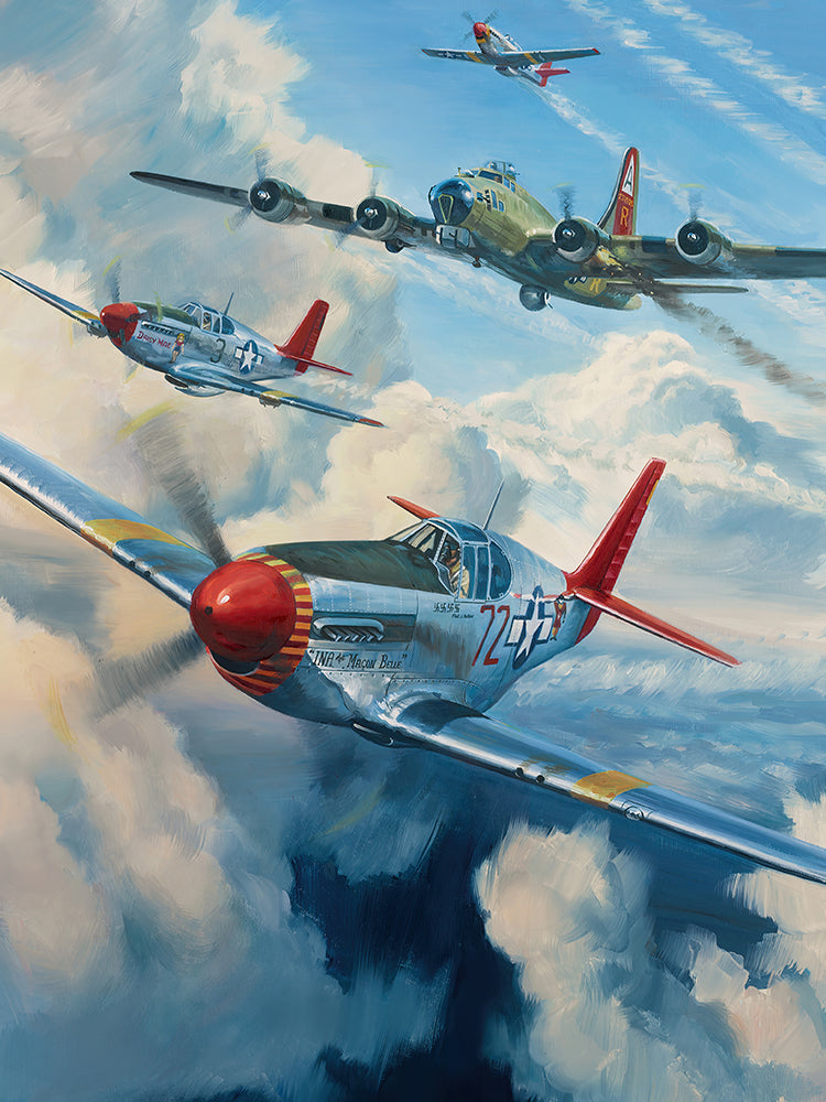 P-51 Mustang Peinture par Numéros