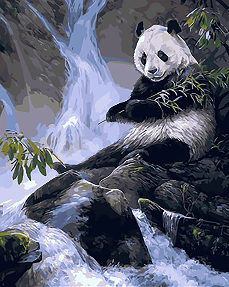 Panda et Chute Peinture par Numéros