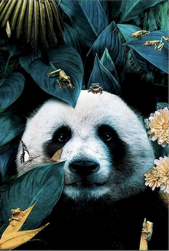 Panda et Insectes Peinture par Numéros