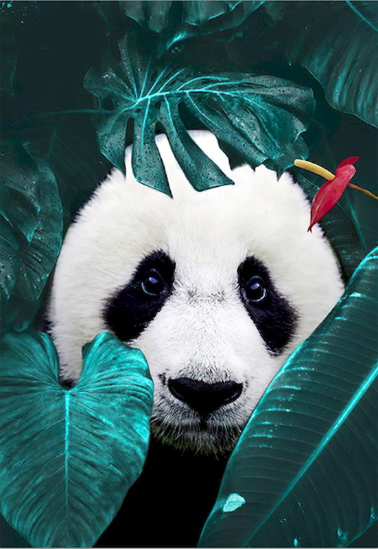 Panda et les Feuilles Peinture par Numéros
