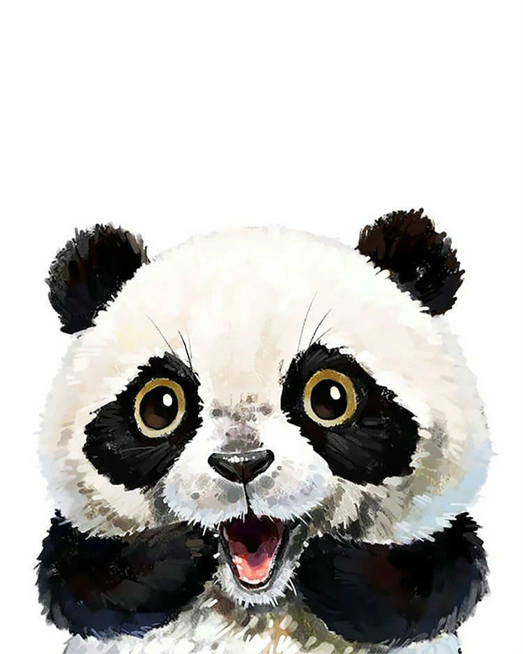 Panda Etonné Peinture par Numéros