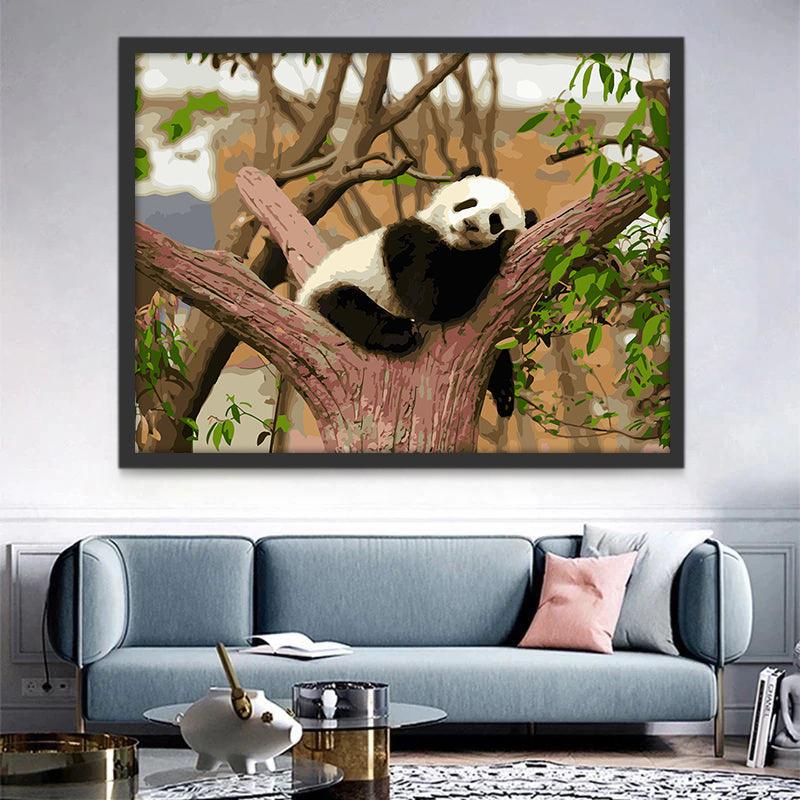 Panda Faisant la Sieste Peinture par Numéros