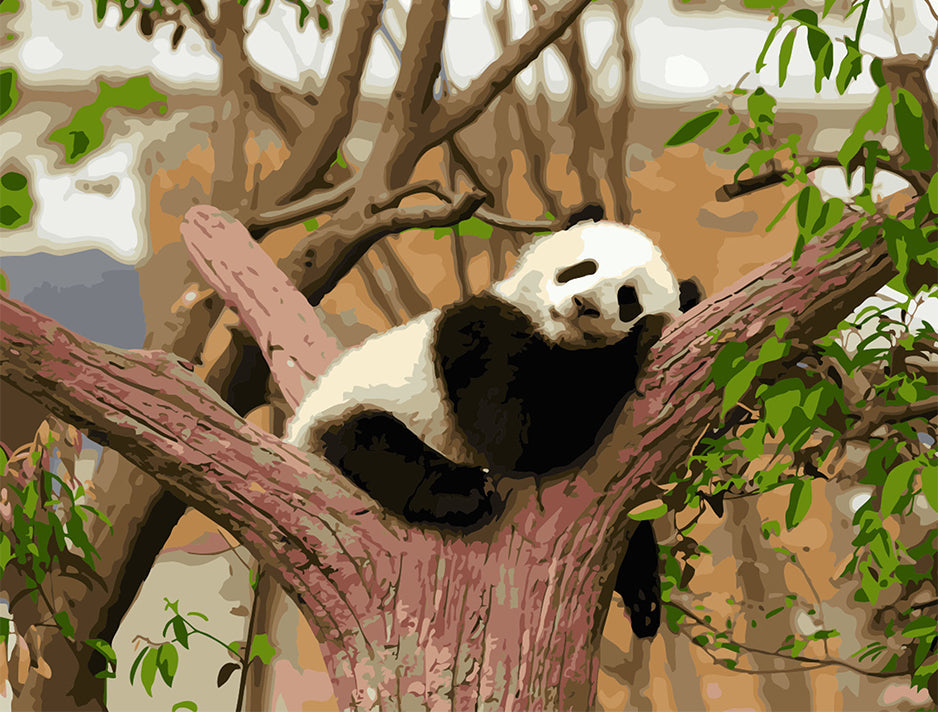 Panda Faisant la Sieste Peinture par Numéros