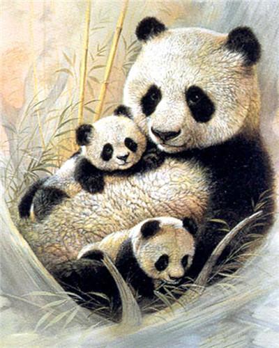 Panda Mère et ses Bébés Peinture par Numéros